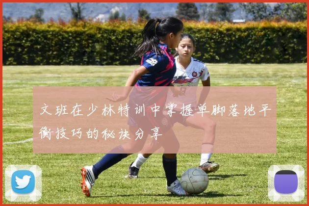 文班在少林特训中掌握单脚落地平衡技巧的秘诀分享