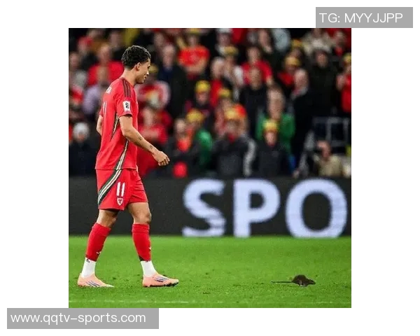 比利时世预赛精彩表现德布劳内双响特罗萨德助力球队4-2战胜威尔士